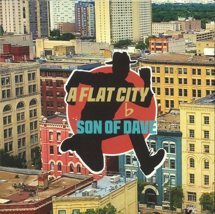 A Flat City - Vinyl LP vinyl record cover