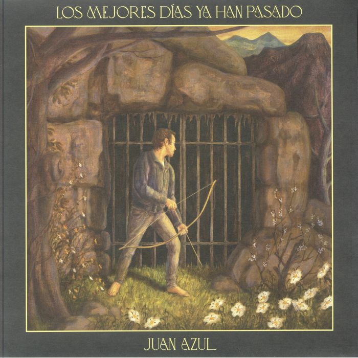 Los Mejores Dias Ya Han Pasado - Vinyl LP vinyl record cover