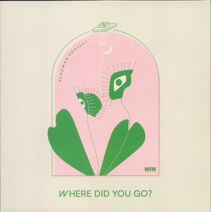 Where Did You Go? - Vinyl LP vinyl record cover