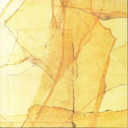 Central Park's Mosaic Of Reservoir Lake Paths & Gardens - Clear Vinyl LP vinyl record cover