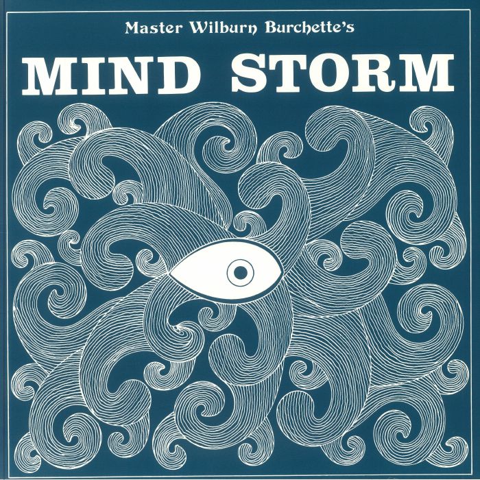 Mind Storm - Vinyl LP vinyl record cover