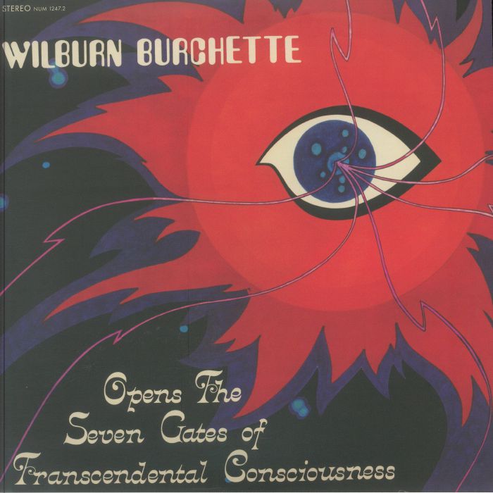 Opens The Seven Gates Of Transcendental Consciousness - Vinyl LP vinyl record cover
