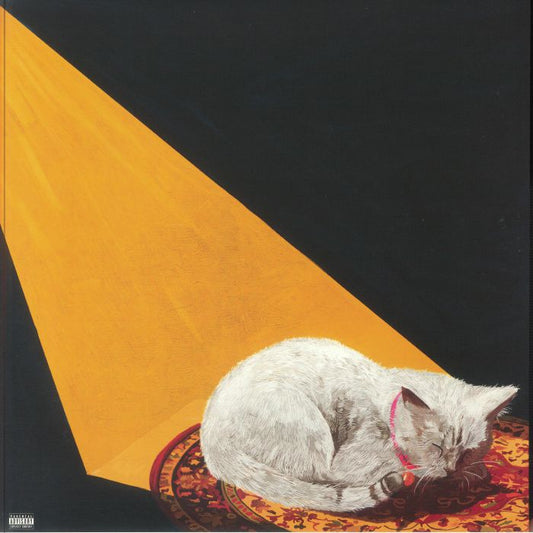 Permanent Pleasure - Vinyl LP vinyl record cover