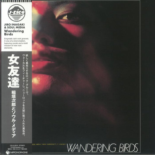 Wandering Birds - Vinyl LP vinyl record cover