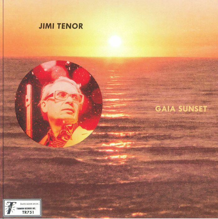 Gaia Sunset - Vinyl Single vinyl record cover
