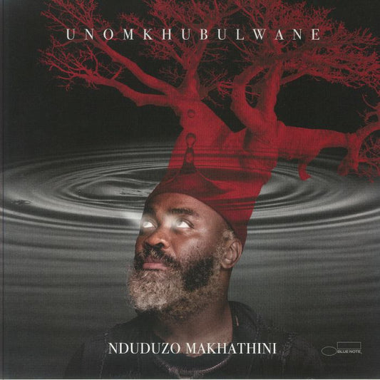 Unomkhubulwane - 2xLP vinyl record cover