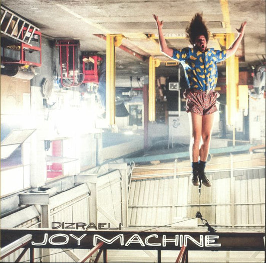 Joy Machine - Vinyl LP vinyl record cover