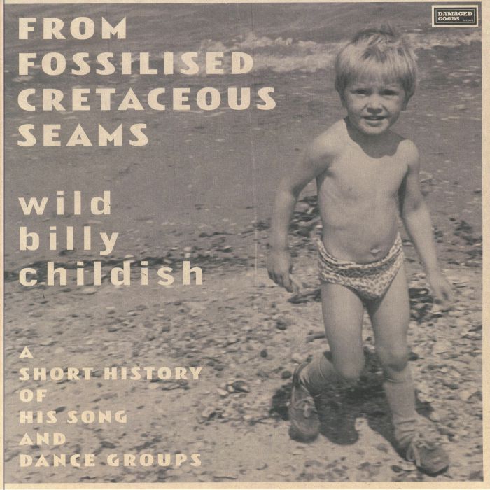 From Fossilised Cretaceous Seams: A Short History Of His Song & Dance Groups - 2xLP vinyl record cover