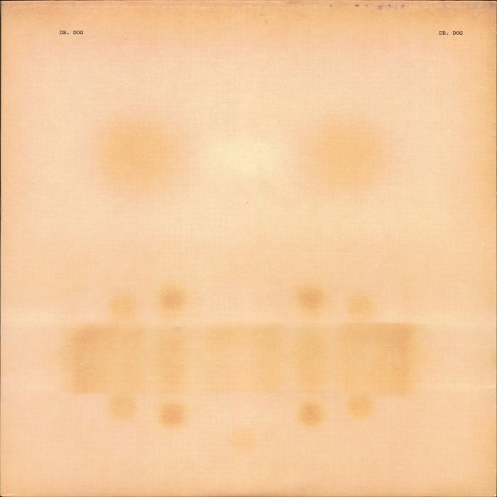 Dr Dog - Vinyl LP vinyl record cover
