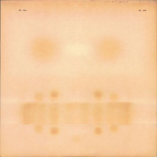 Dr Dog - Vinyl LP vinyl record cover