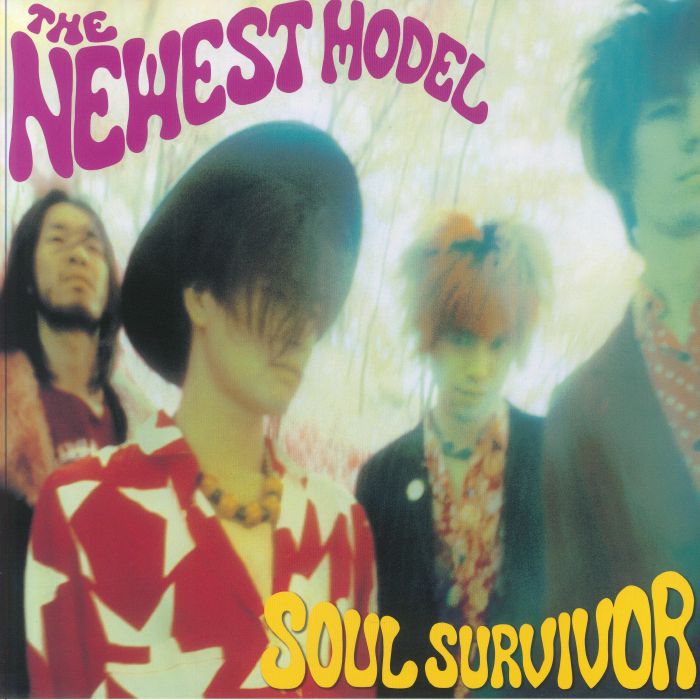 Soul Survivor - 2xLP vinyl record cover
