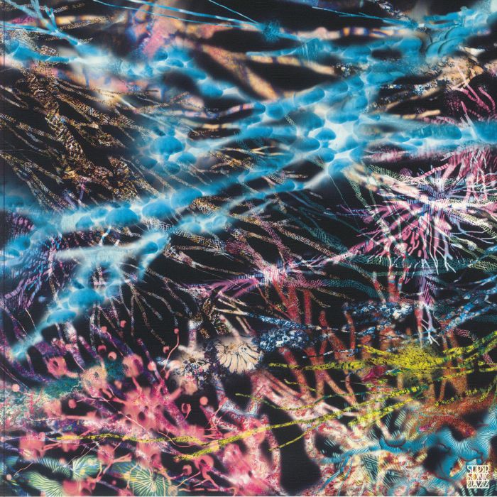 The Remedy - 3xLP vinyl record cover
