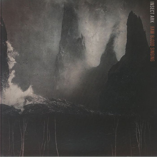 Raw Blood Singing - Vinyl LP vinyl record cover