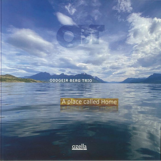 Place Called Home - Vinyl LP vinyl record cover