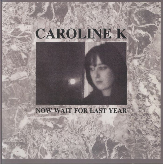 Now Wait For The Last Year - Remastered Vinyl LP vinyl record cover