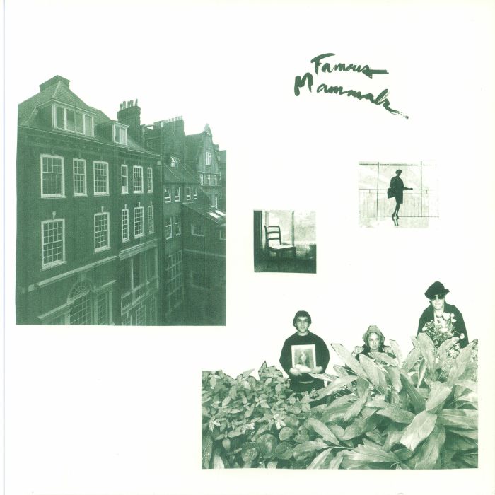 Famous Mammals - Vinyl LP vinyl record cover