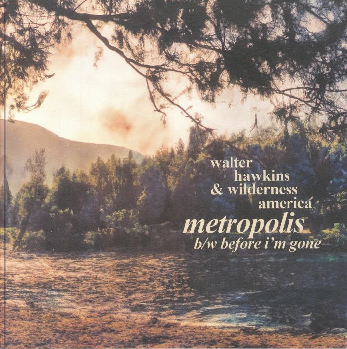 Metropolis - Vinyl Single vinyl record cover