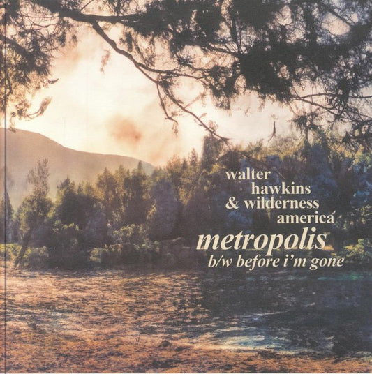 Metropolis - Vinyl Single vinyl record cover