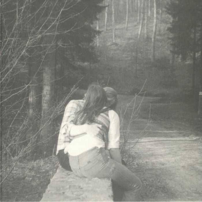 Want - Vinyl LP vinyl record cover