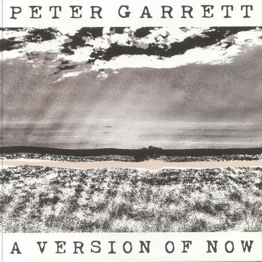 A Version Of Now - Vinyl LP vinyl record cover