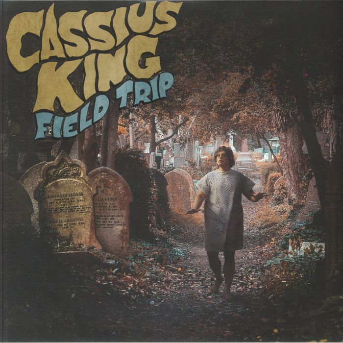Field Trip - Vinyl LP vinyl record cover