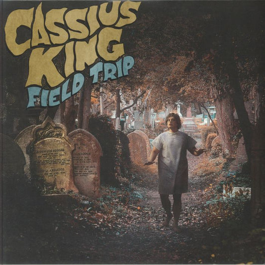 Field Trip - Vinyl LP vinyl record cover