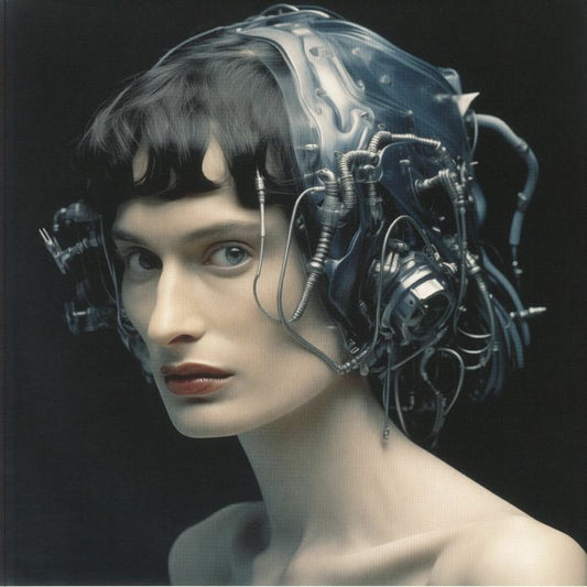 Avenging Angels Of Software - Vinyl EP vinyl record cover