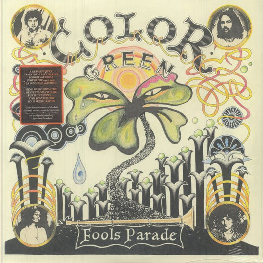 Fool's Parade - Vinyl LP vinyl record cover