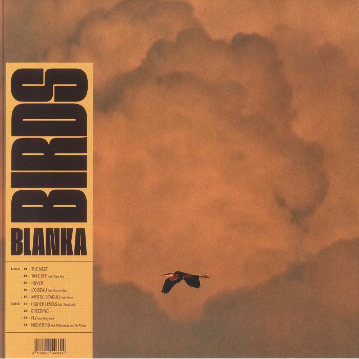 Birds - Vinyl LP vinyl record cover