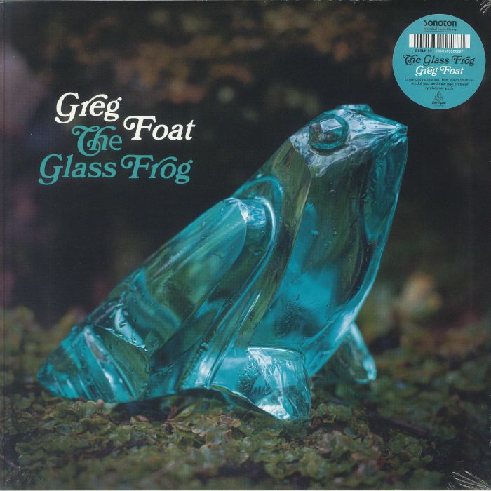 The Glass Frog - Vinyl LP vinyl record cover