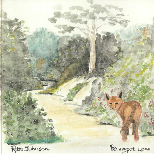 Pennypot Lane - Vinyl LP vinyl record cover