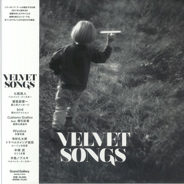 Velvet Songs - Vinyl LP vinyl record cover