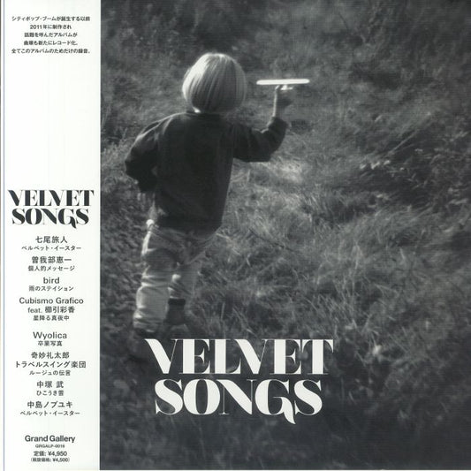 Velvet Songs - Vinyl LP vinyl record cover