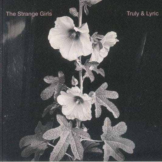 Truly & Lyric - Vinyl Single vinyl record cover