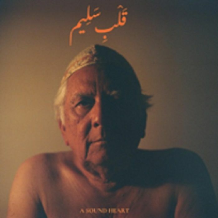 A Sound Heart - 2xLP vinyl record cover