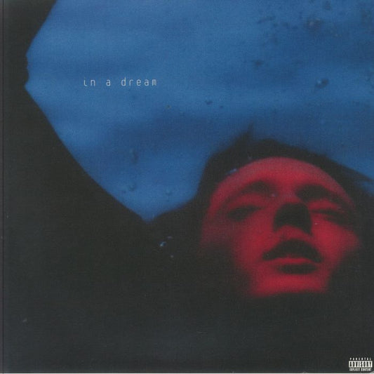 In A Dream - Vinyl EP vinyl record cover