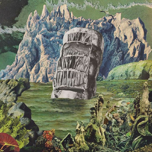 Exotic Immensity - 2xLP vinyl record cover