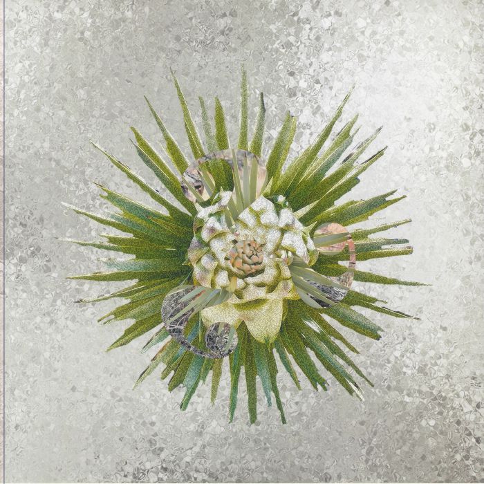 How??? - Clear Vinyl LP vinyl record cover