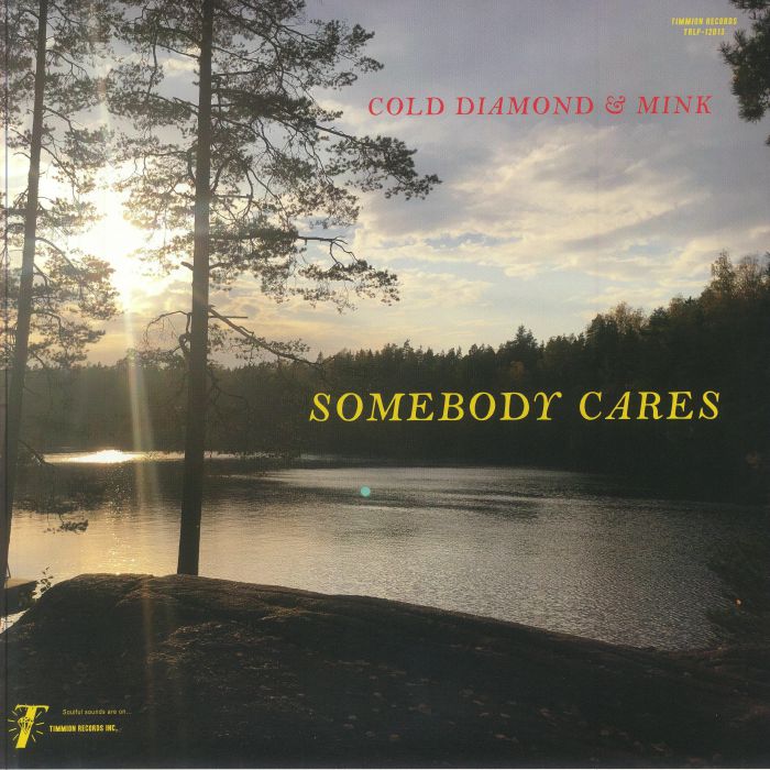 Somebody Cares - Vinyl LP vinyl record cover
