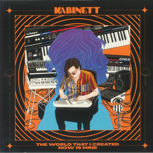 The World That I Created Now Is Mine - Vinyl LP vinyl record cover