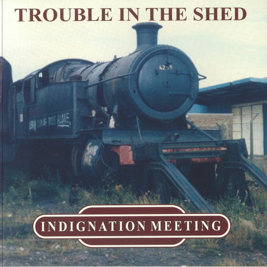 Trouble In The Shed - Green Vinyl LP vinyl record cover