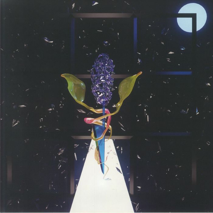Room With Many Doors: Night - Vinyl LP vinyl record cover