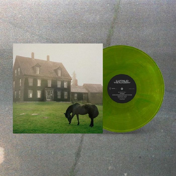 The Academy - Vinyl LP vinyl record cover