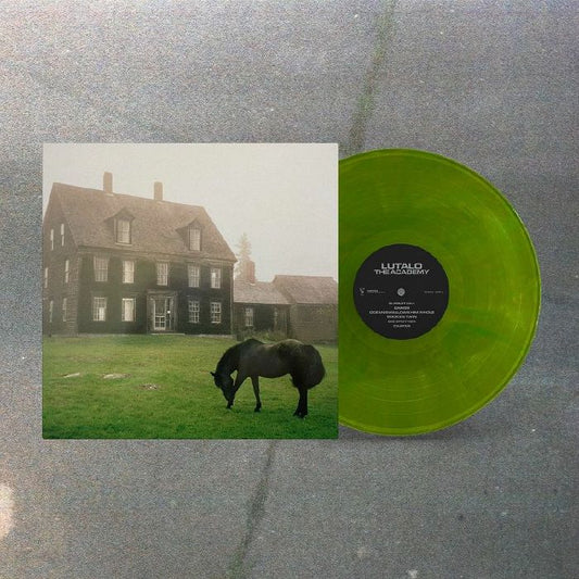 The Academy - Vinyl LP vinyl record cover