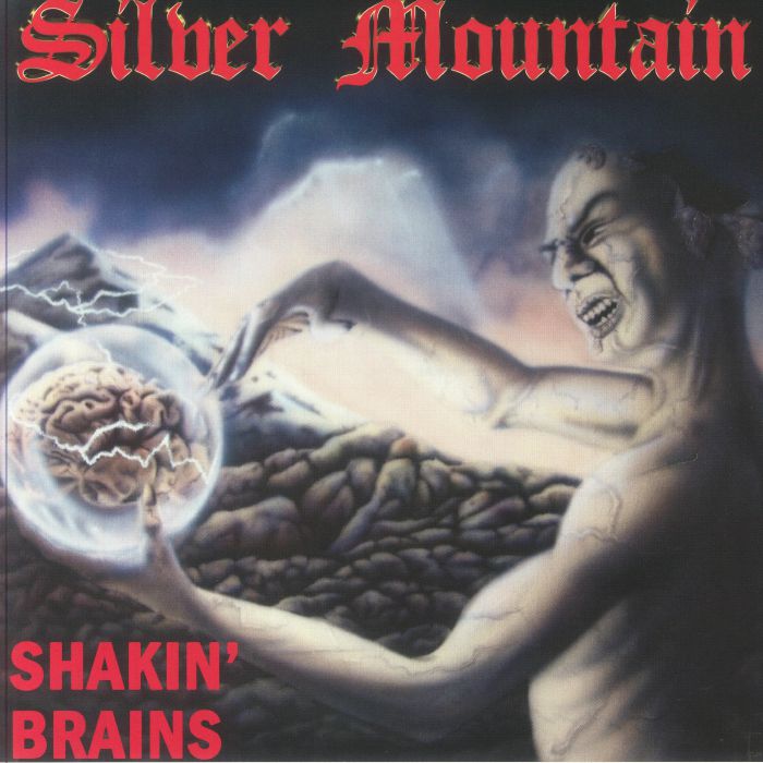 Shakin Brains - Vinyl LP vinyl record cover