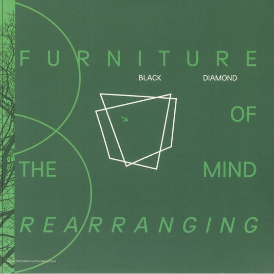 Furniture Of The Mind Rearranging - 2xLP vinyl record cover