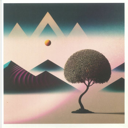 Dreamloops - 4xLP vinyl record cover