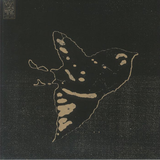 Des Cendres Je Me Consume - Vinyl LP vinyl record cover