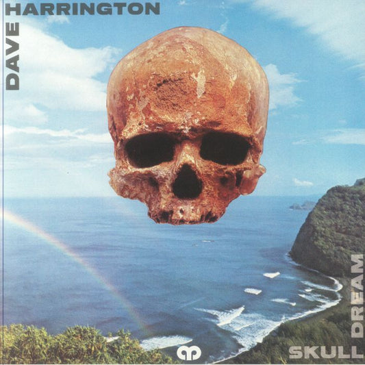 Skull Dream - Vinyl LP vinyl record cover