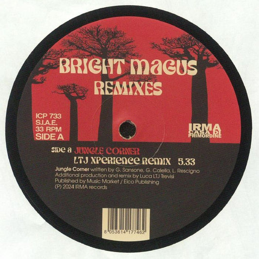 Remixes - Vinyl Single vinyl record cover